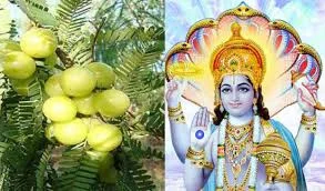 Akshaya Navami